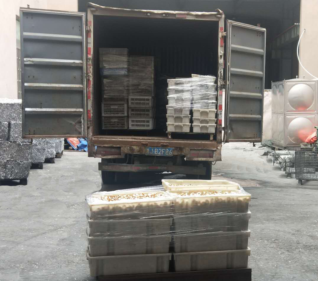 Surface Pickling Or Color Washing Service